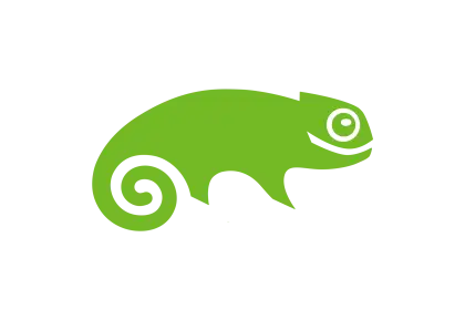 Green Chameleon Logo Illustration