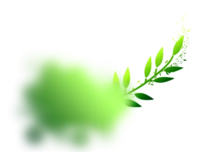 Green Leaf with Blur Effect