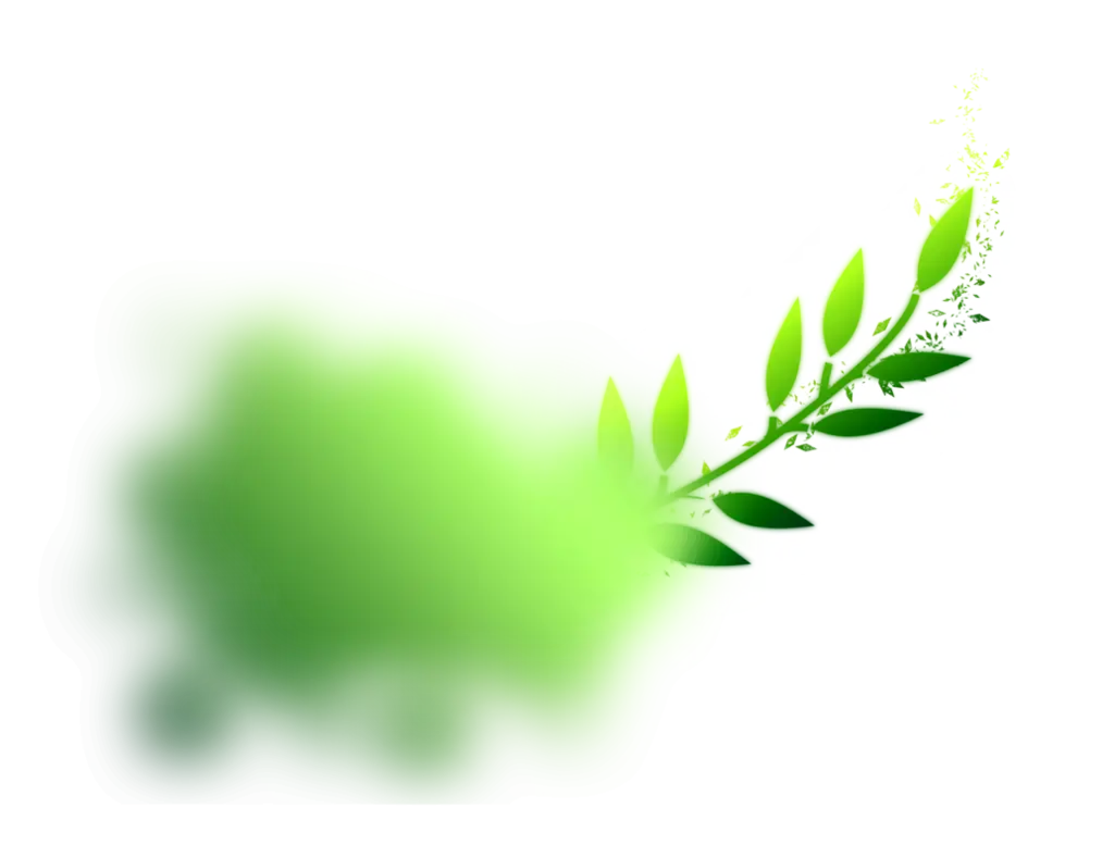 Green Leaf with Blur Effect