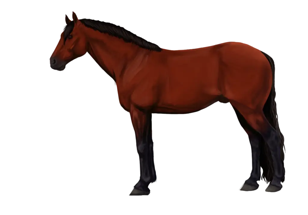 Elegant Brown Horse Illustration