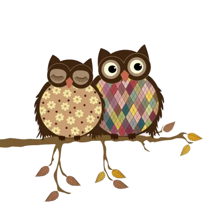 Two Cartoon Owls on a Branch