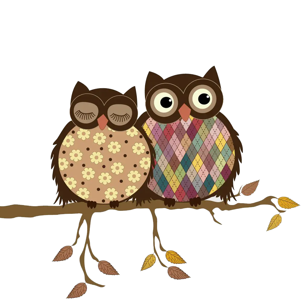 Two Cartoon Owls on a Branch