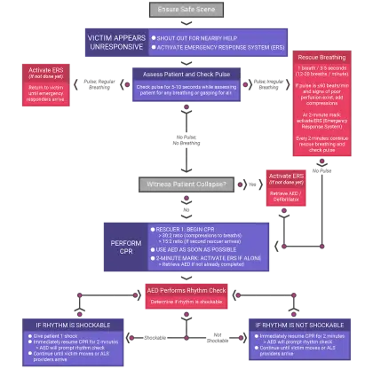 Medical CPR Flowchart Diagram