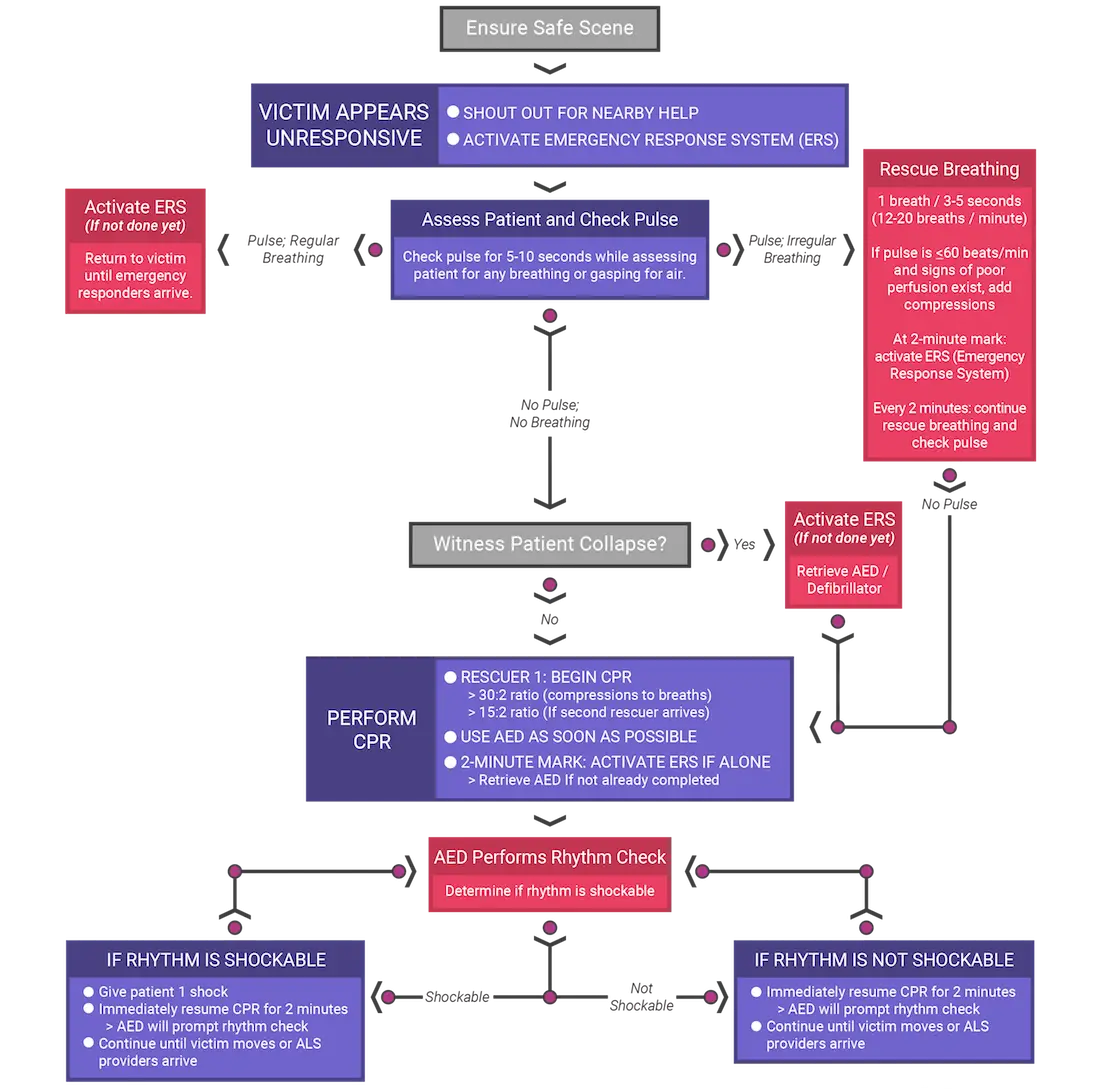 Medical CPR Flowchart Diagram
