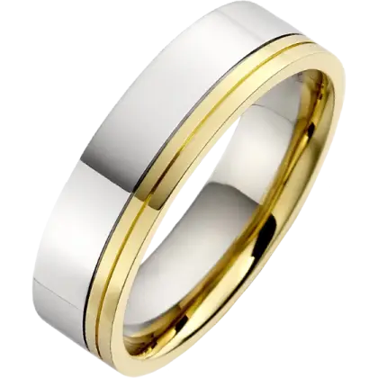 Gold and Silver Ring for Special Occasions