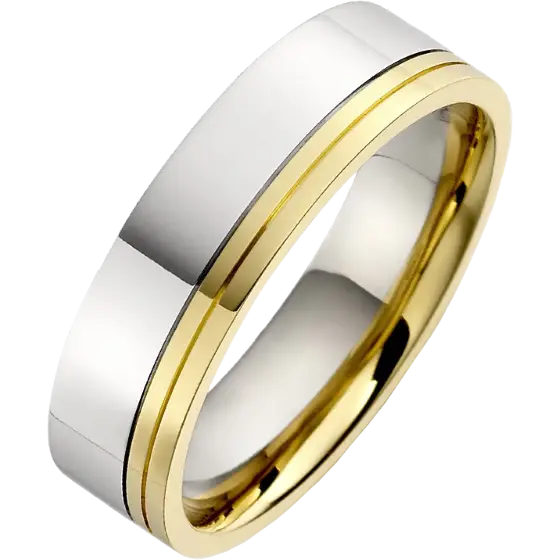 Gold and Silver Ring for Special Occasions