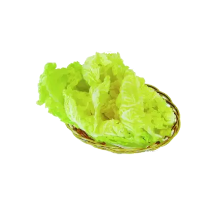 Fresh Green Lettuce