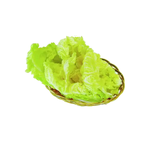 Fresh Green Lettuce