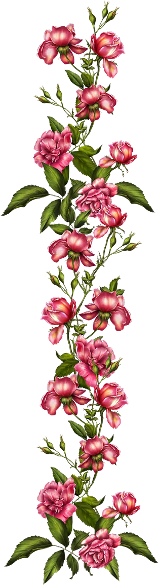 Vertical Pink Roses