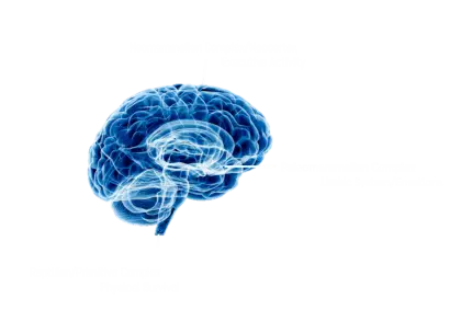 Blue Human Brain Illustration