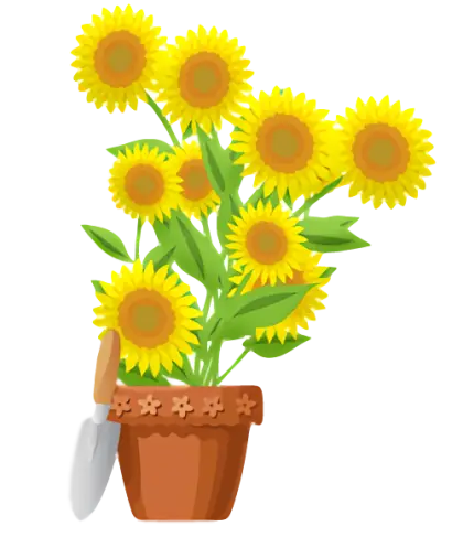 Potted Sunflowers with Gardening Tools Illustration
