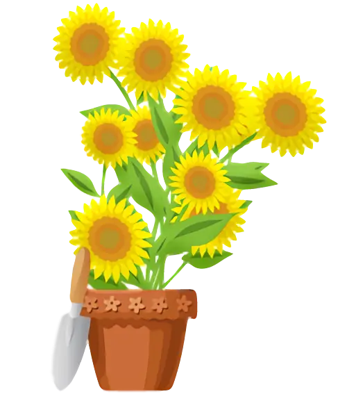 Potted Sunflowers with Gardening Tools Illustration