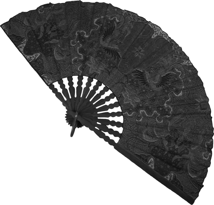 Black Decorative Handheld Fan