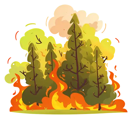 Burning Forest with Flames