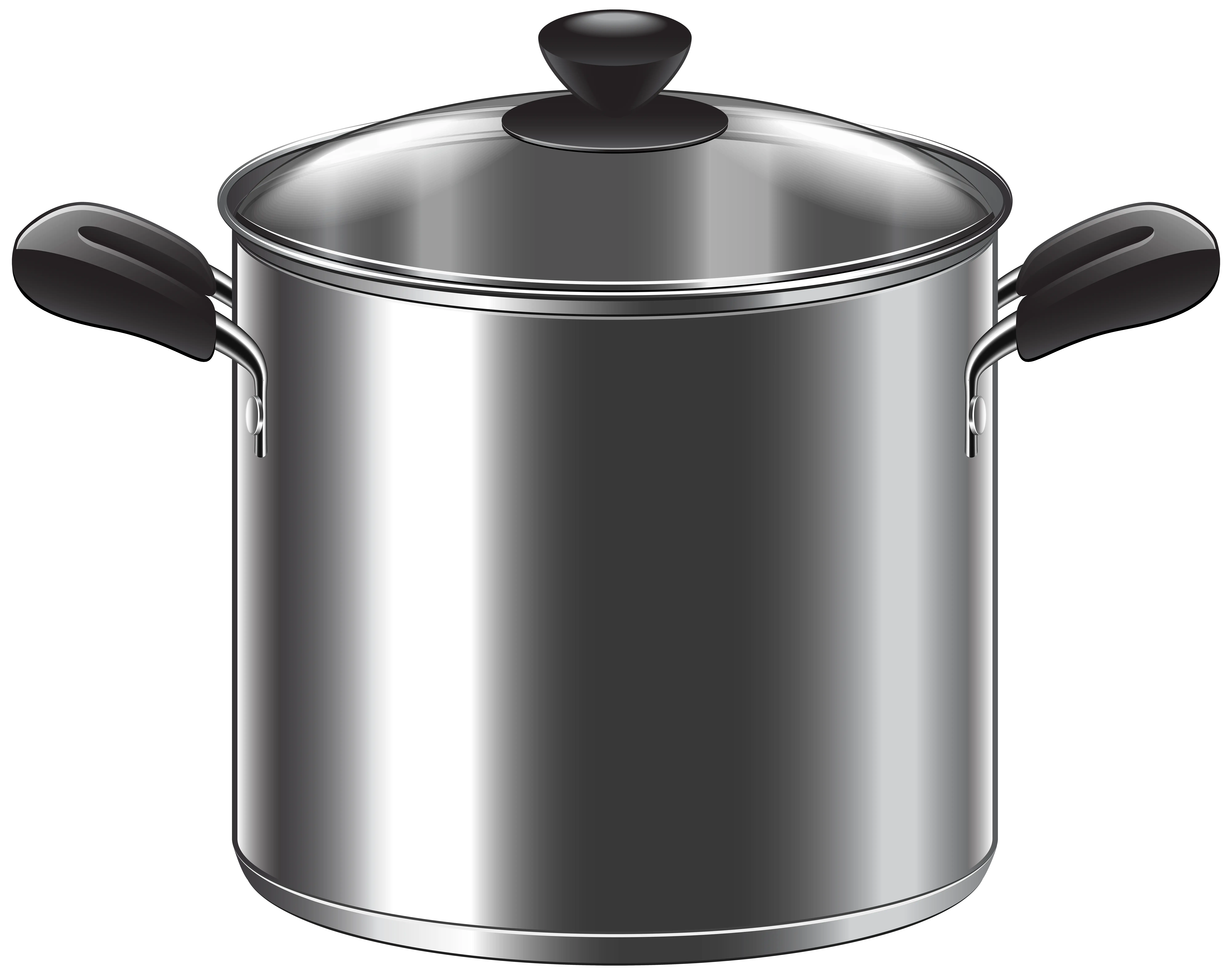 Stainless Steel Cooking Pot with Lid
