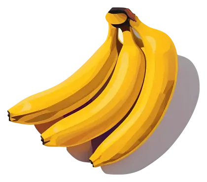 Bunch of Bananas Illustration