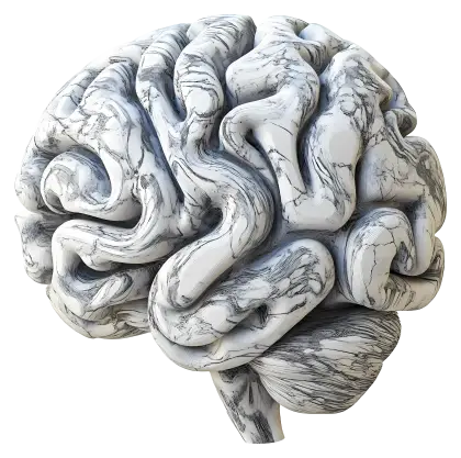 Marble Brain Illustration for Education