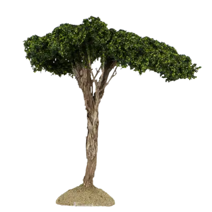 Realistic Tree Illustration with Green Canopy