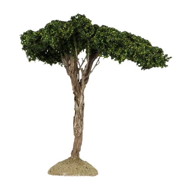 Realistic Tree Illustration with Green Canopy
