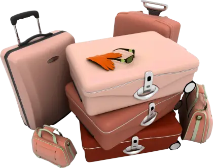 Travel Luggage Set with Various Bags