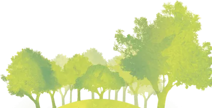 Beautiful Green Trees in Nature