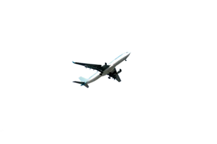 Airplane in Flight