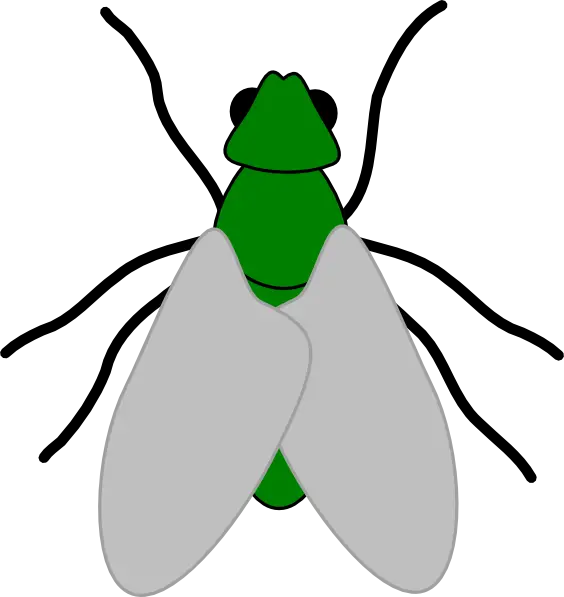 Cartoon Green Fly Illustration