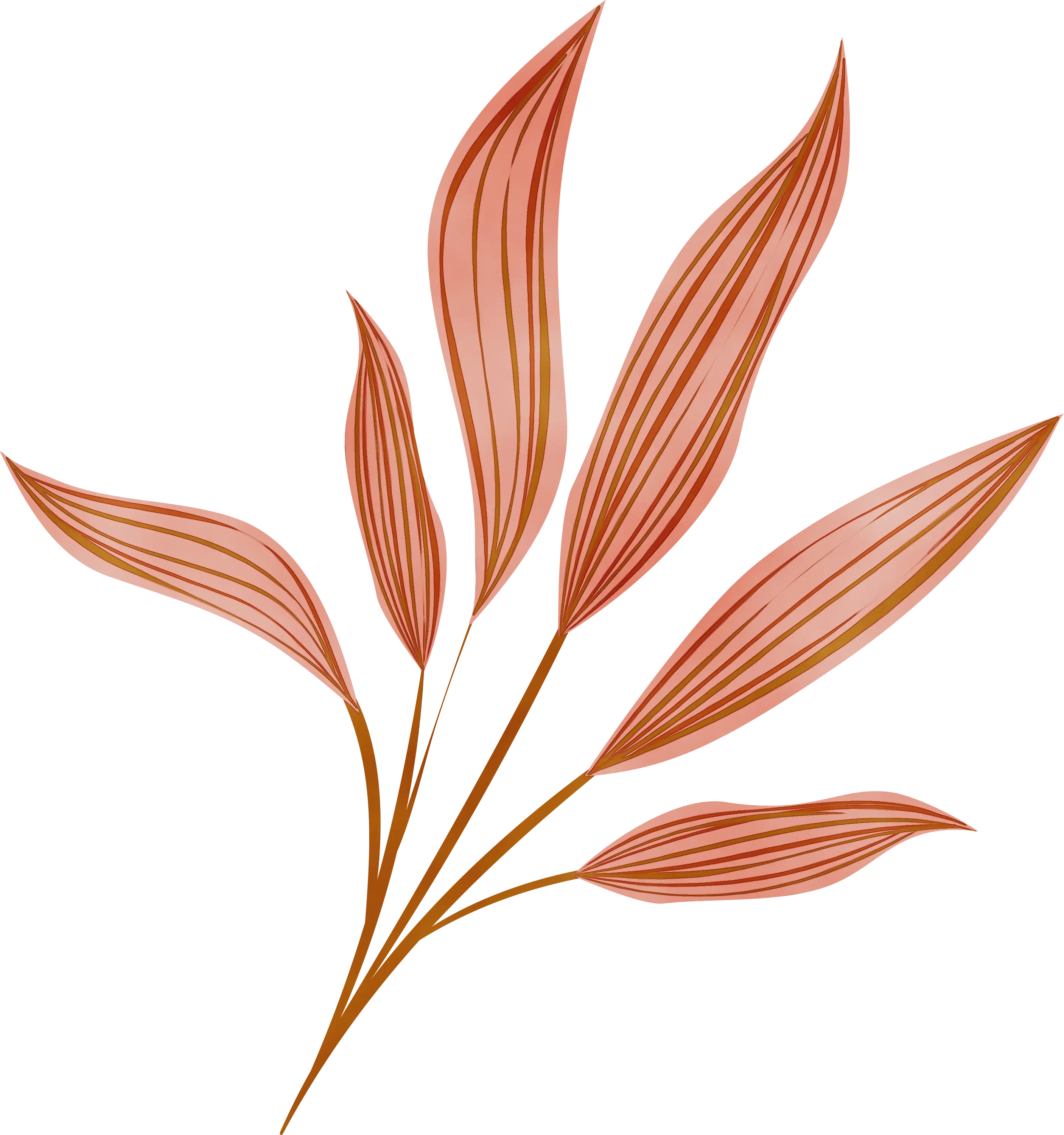 Illustration of Brown Leaves