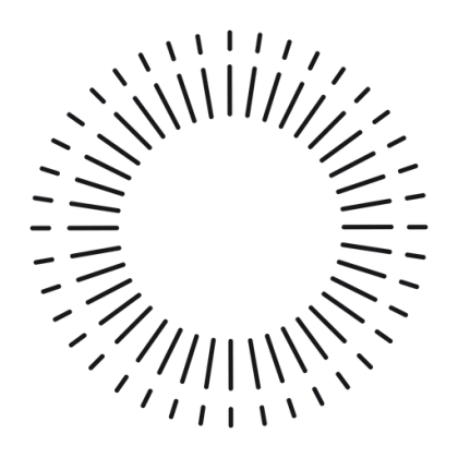 Decorative Circular Sunburst Element