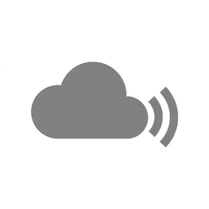 Gray Cloud Icon with Signal