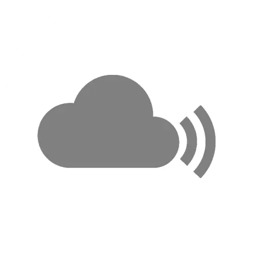 Gray Cloud Icon with Signal