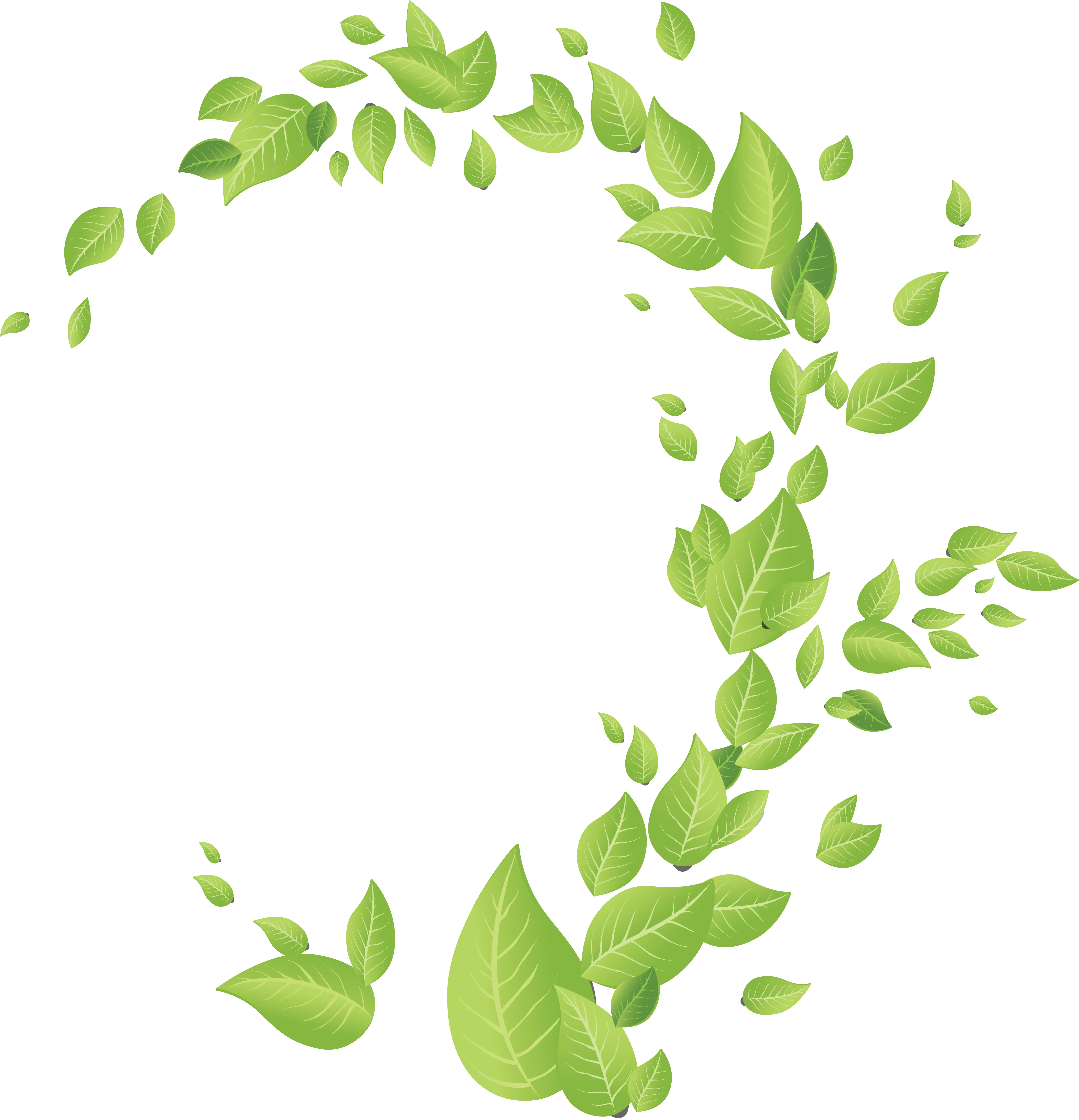 Natural Design with Green Leaves