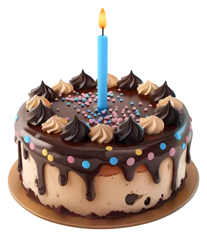Chocolate Cake with Candle