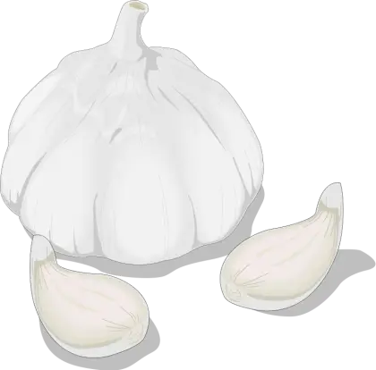 Garlic Bulb and Cloves