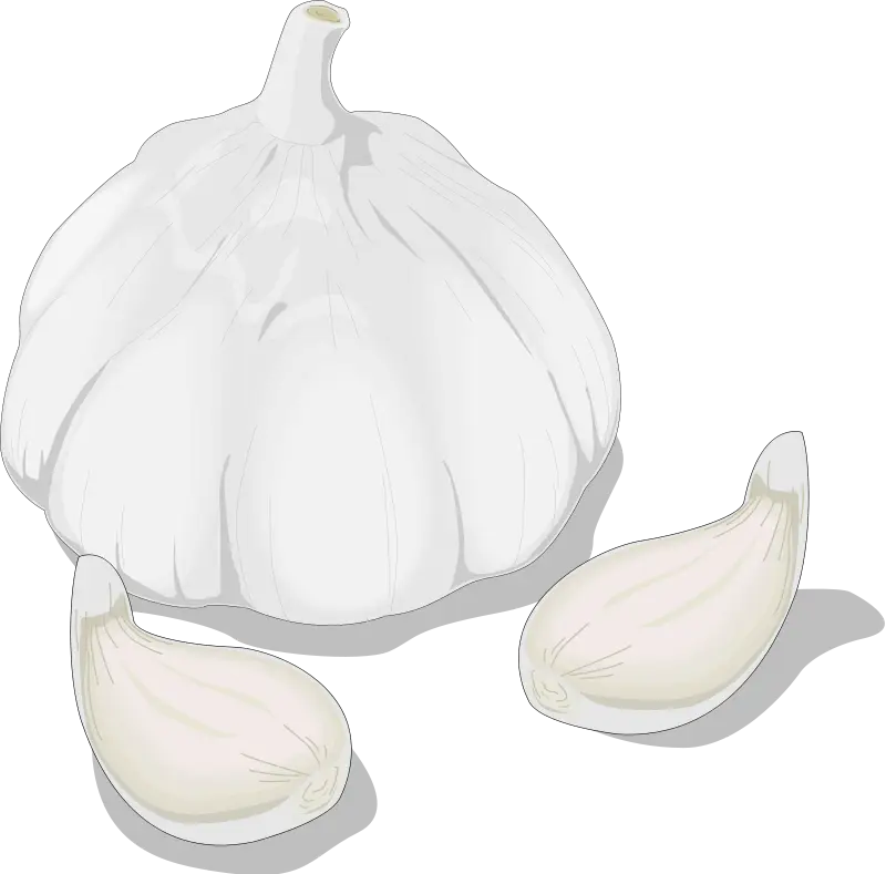 Garlic Bulb and Cloves