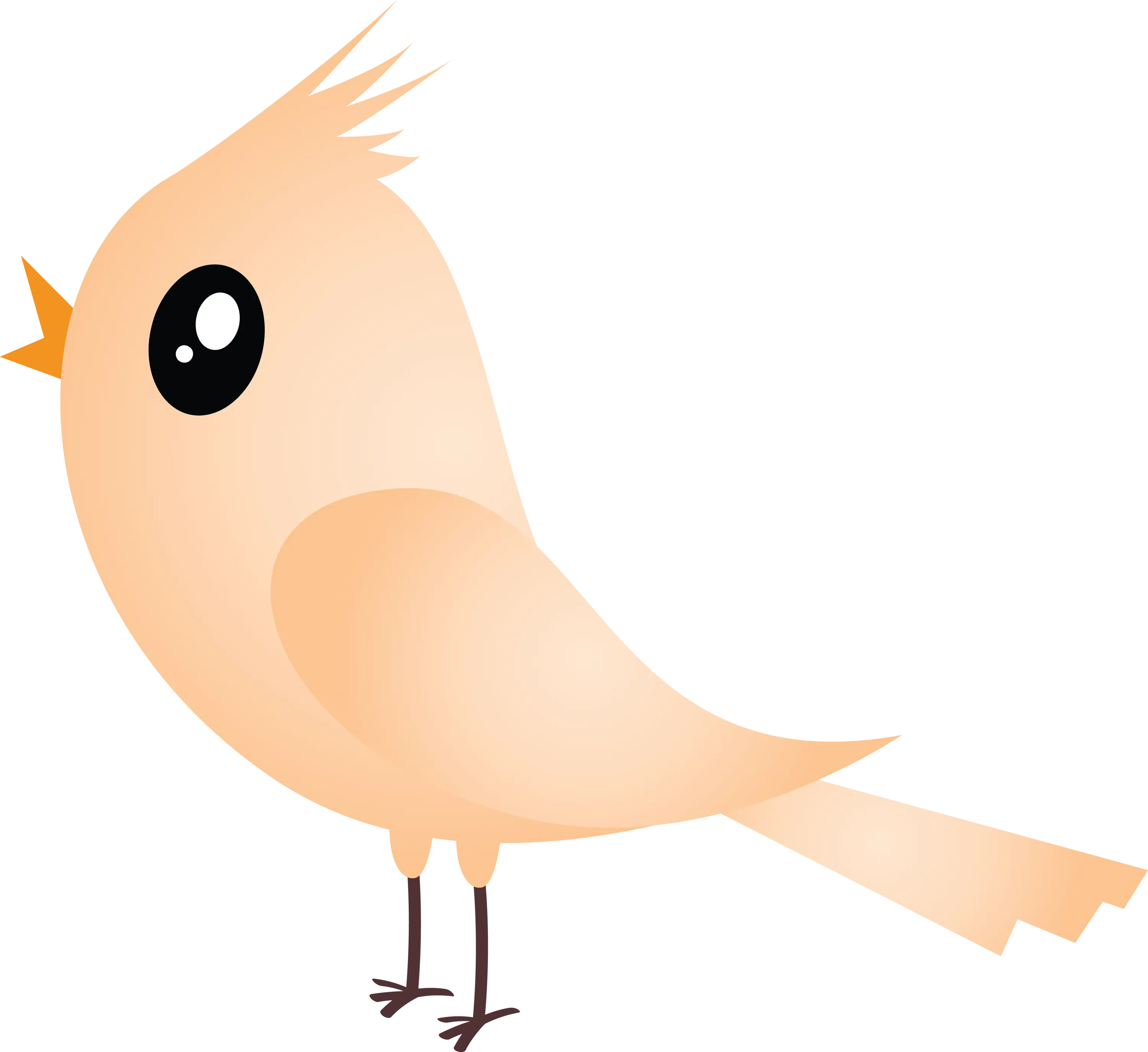 Cute Peach Bird Illustration