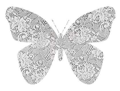 Lace Butterfly Decoration