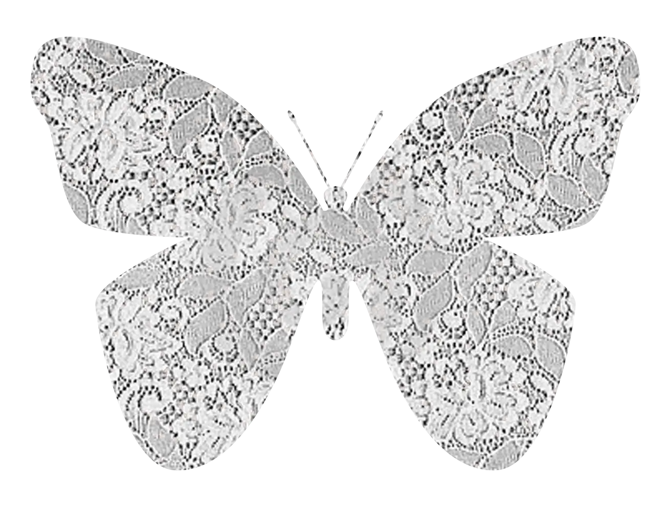 Lace Butterfly Decoration