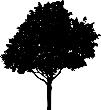 Medium Silhouette Tree Design