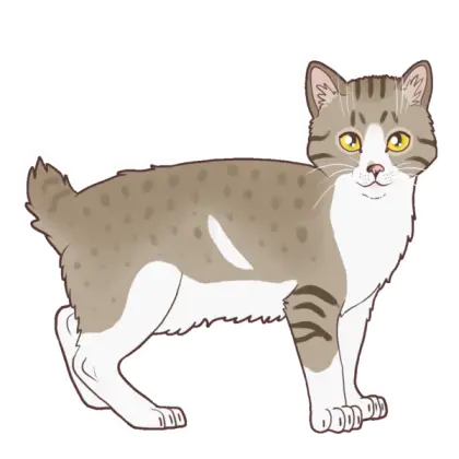 Cute Cartoon Cat Illustration
