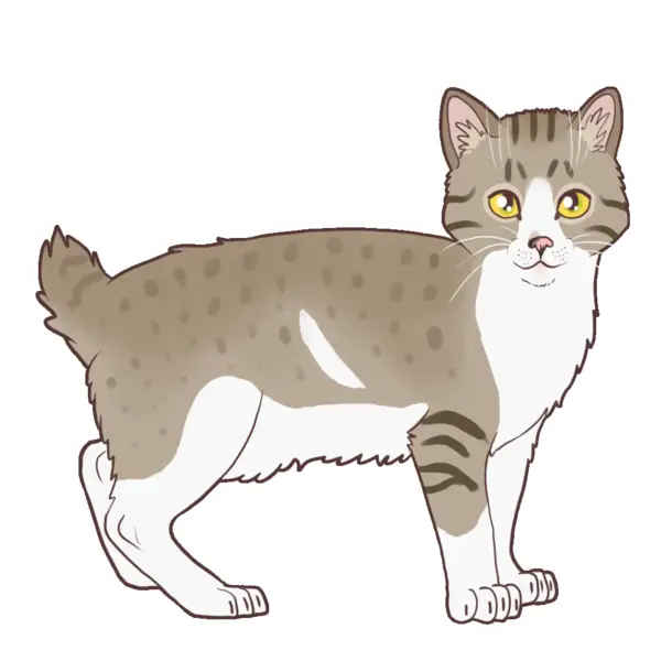 Cute Cartoon Cat Illustration