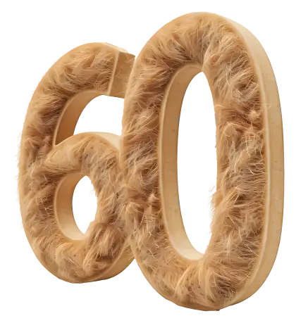 Creative Furry Number 60 Design