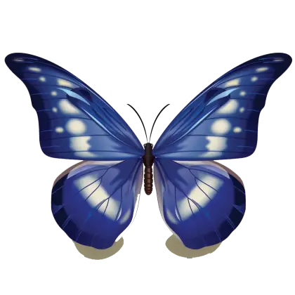 Butterfly Illustration with Beautiful Blue Shades