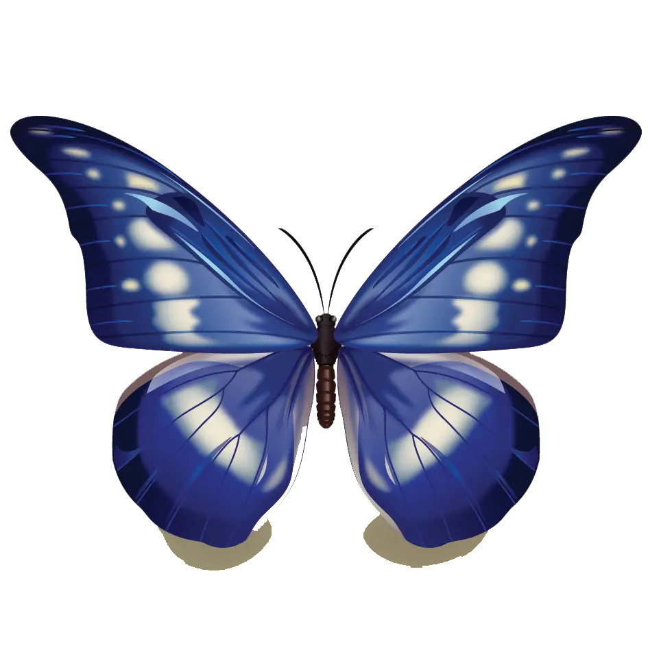 Butterfly Illustration with Beautiful Blue Shades