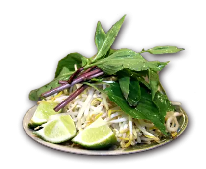 Fresh Plate of Vegetables with Lime