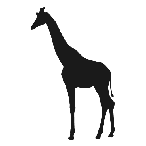 Black Silhouette of a Giraffe