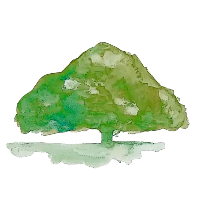 Watercolor Illustration of a Green Tree