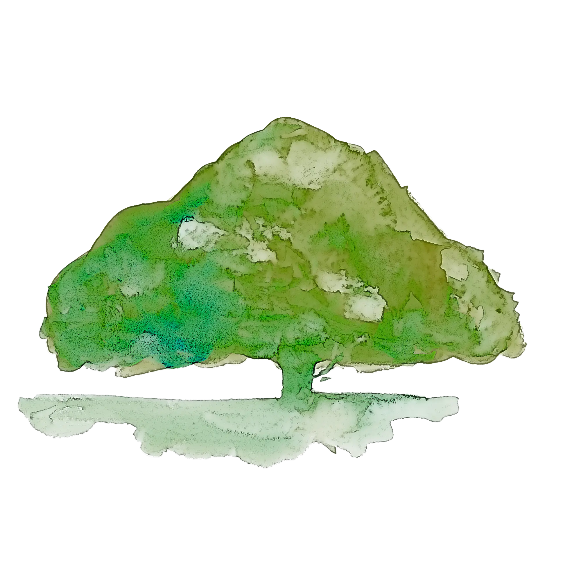 Watercolor Illustration of a Green Tree