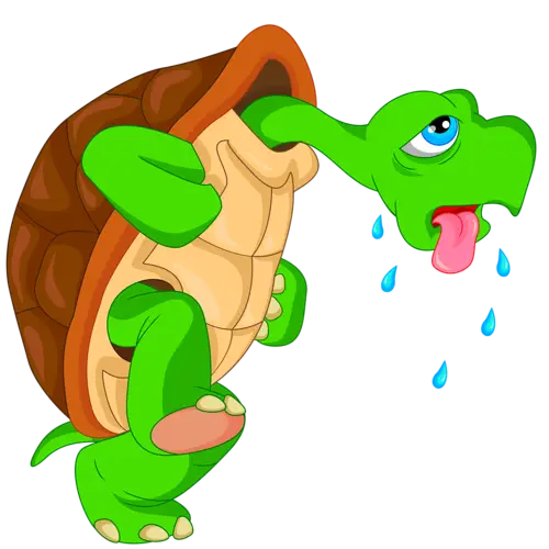 Thirsty Cartoon Turtle