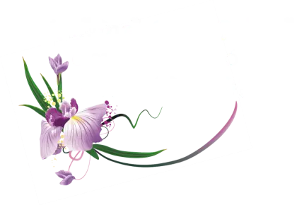 Purple Orchid Flower Decoration Illustration